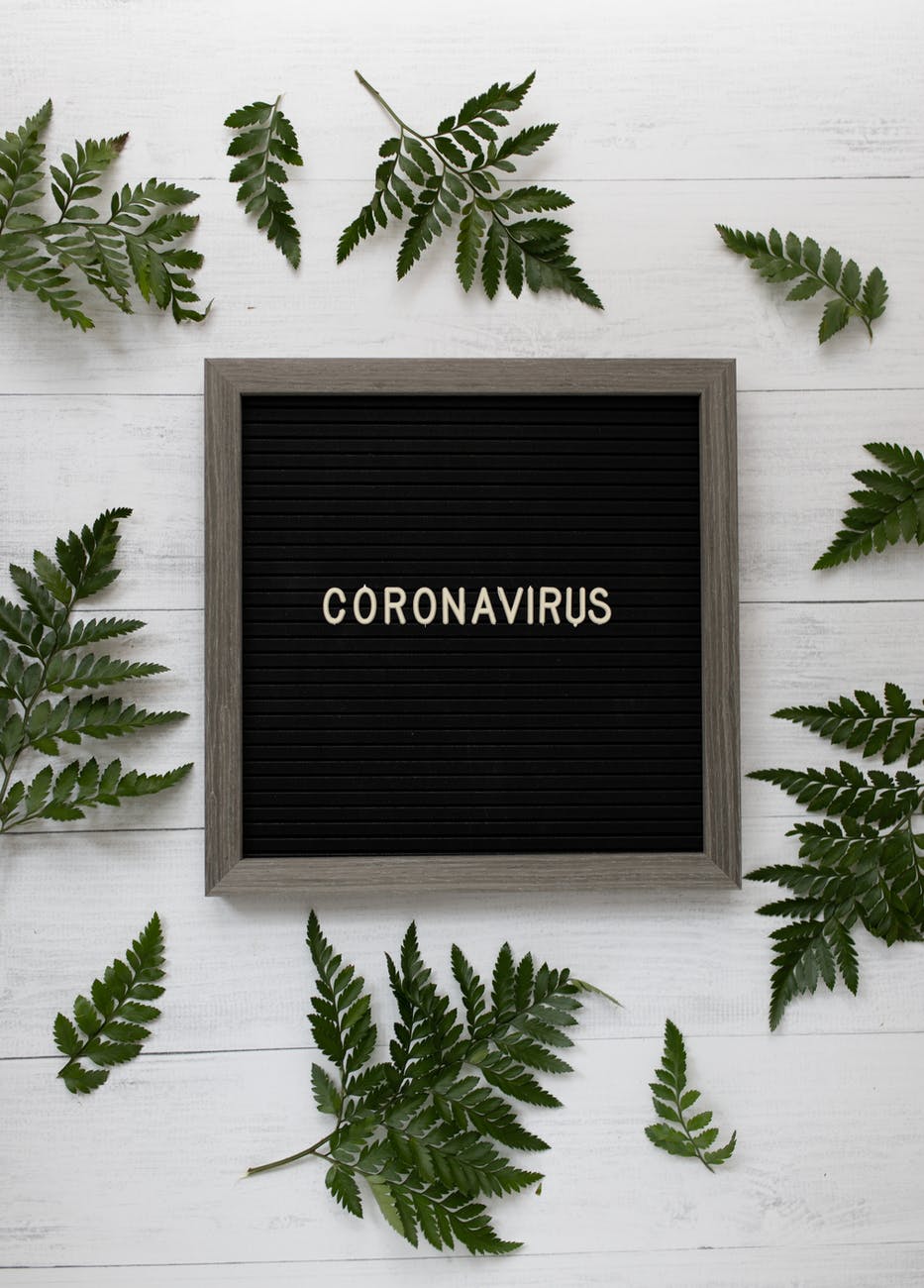 creative chalkboard with coronavirus inscription near fern leaves