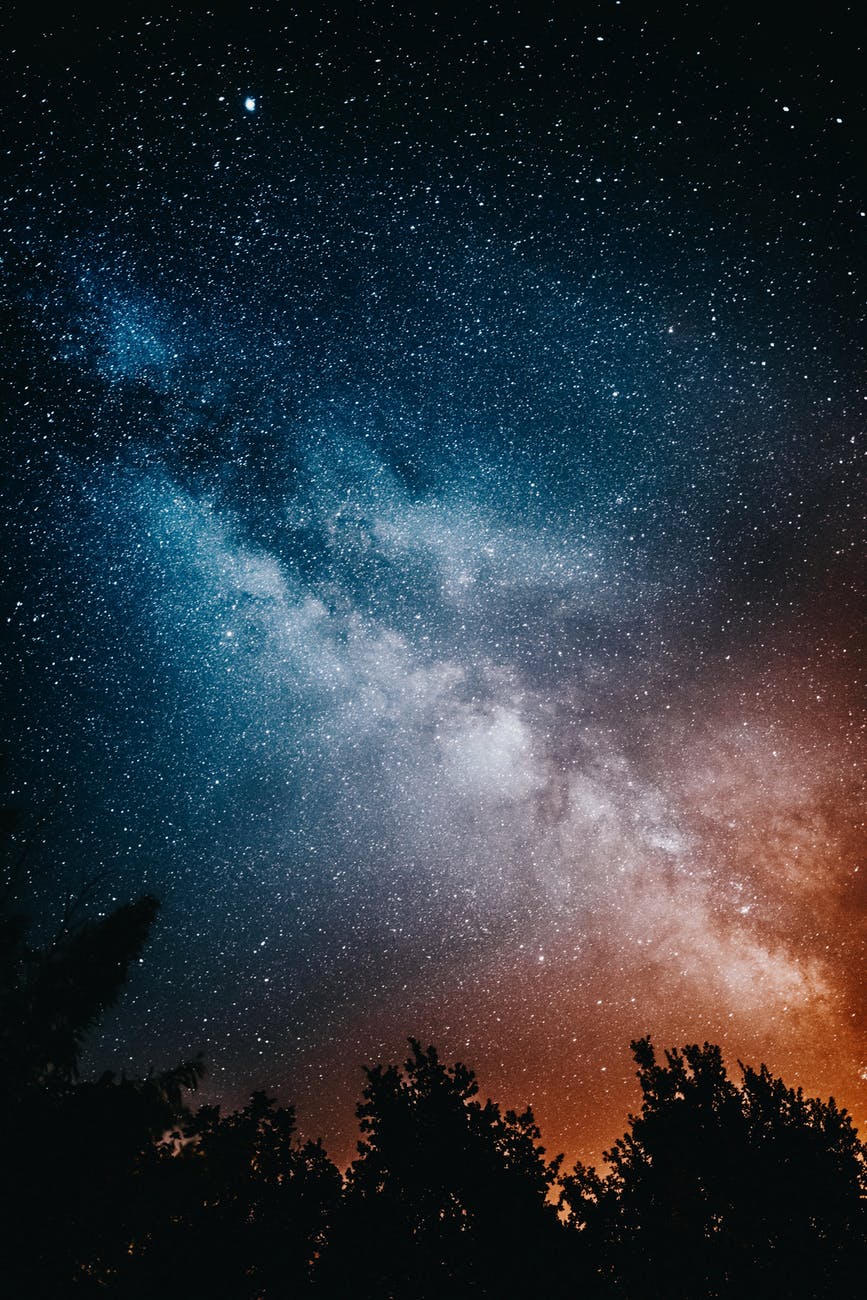 dramatic starry sky over trees peaks at night