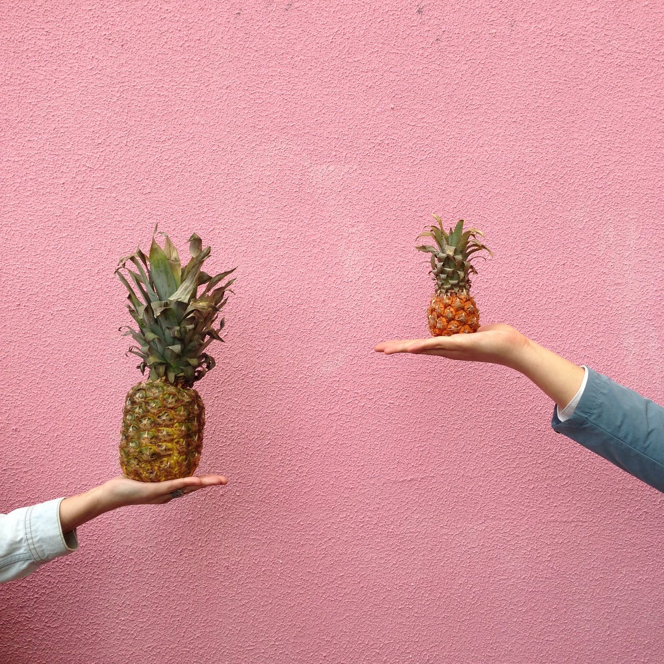 two people holding pineapple fruit on their palm